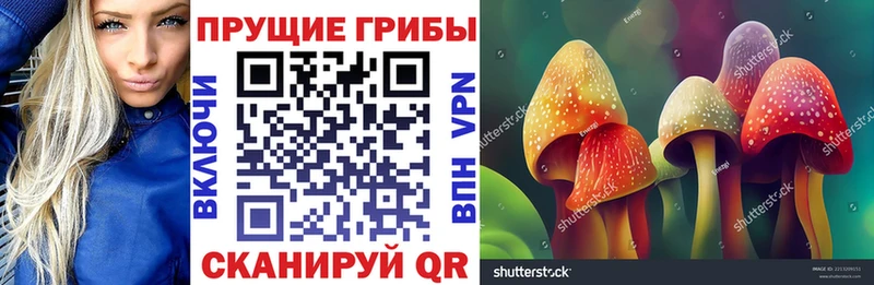 наркотики  Серпухов  Галлюциногенные грибы ЛСД 